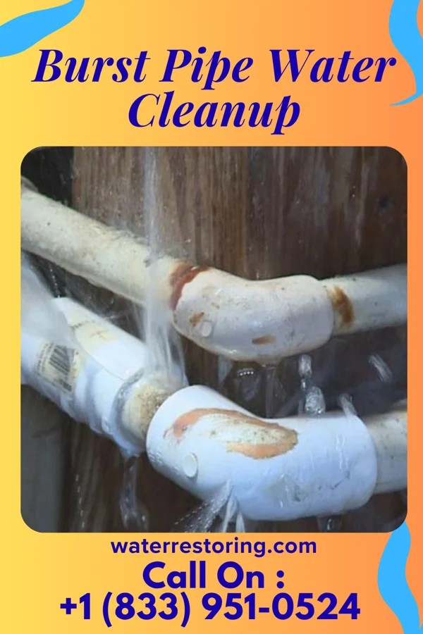 Burst Pipe Water Cleanup in North Canton, OH