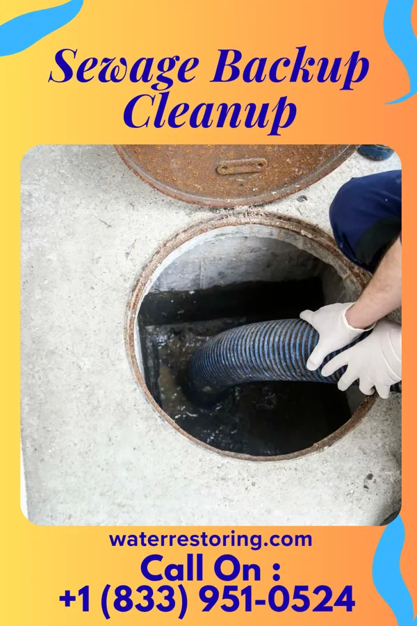 Sewage Backup Cleanup in North Canton, OH