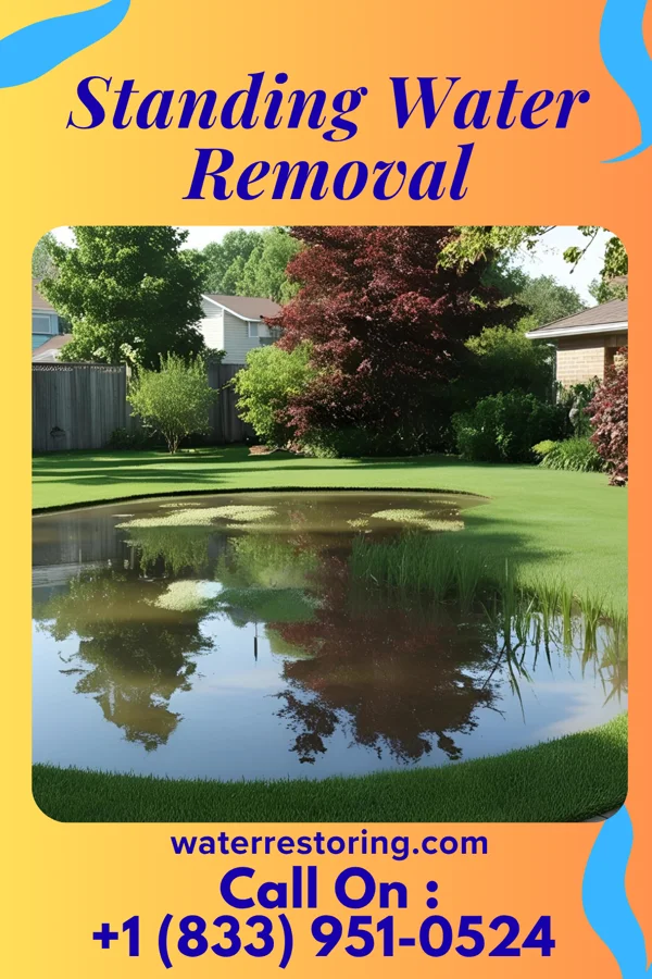 Standing Water Removal in North Canton, OH